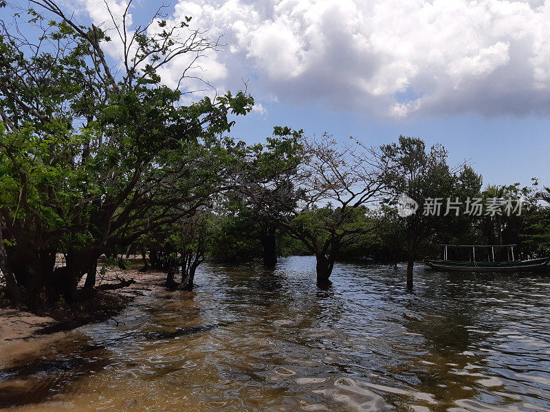 亚马逊地区- TAPAJOS - PARA